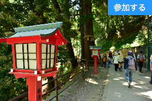 【11月イベント情報】秋の高尾山ハイキング　― 東京近郊で大自然を満喫しよう！―