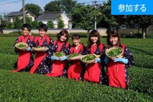 【6月イベント情報】お茶摘み体験を楽しもう！(埼玉・狭山) 　― 緑まぶしい茶畑で自然の恵み満喫 ―