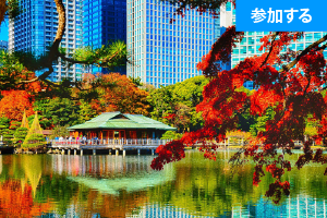 【10月特別企画】 Tokyo☆秋の庭園交流会(浜離宮恩賜庭園) ― 都内屈指の名庭園で交流を楽しもう！―