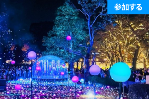 【12月イベント情報】 Tokyo☆クリスマスイルミネーション見学会（六本木） ― 都心で人気のイルミネーションを楽しもう！―