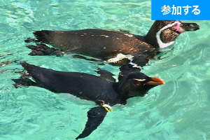 【4月イベント情報】 Tokyo☆水族館見学を楽しもう！（葛西臨海水族園） ― 水辺の生き物鑑賞＆触れ合い体験 ―