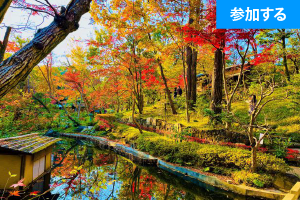 【12月イベント情報】 Tokyo☆秋の美術館めぐり（青山・表参道） ― 都心で秋の美術館見学を楽しもう！―