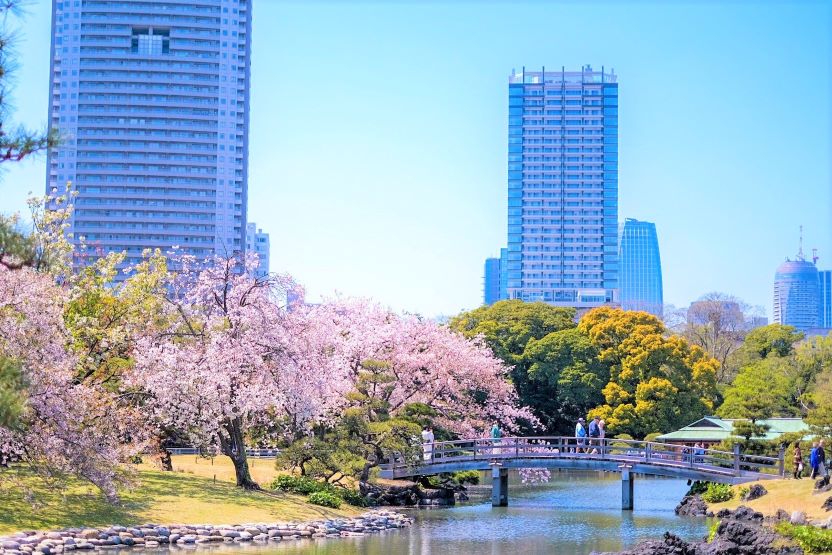 【3月イベント情報】 Tokyo☆春の庭園交流会（浜離宮恩賜庭園） ― 日本家屋貸切で交流を楽しもう！ ―