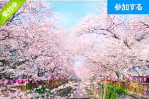 【4月イベント情報】 Tokyo☆春の目黒川さんぽ（目黒川）― 東京の名所を巡りながら出会いを楽しもう！ ―