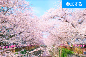 【4月イベント情報】 Tokyo☆春の目黒川さんぽ（目黒川）― 東京の名所を巡りながら出会いを楽しもう！ ―