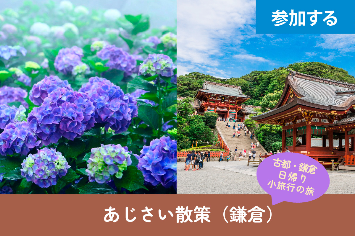 【7月イベント情報】Kamakura☆あじさい散策（鎌倉）―“古都・鎌倉” で日帰り小旅行を楽しもう！―