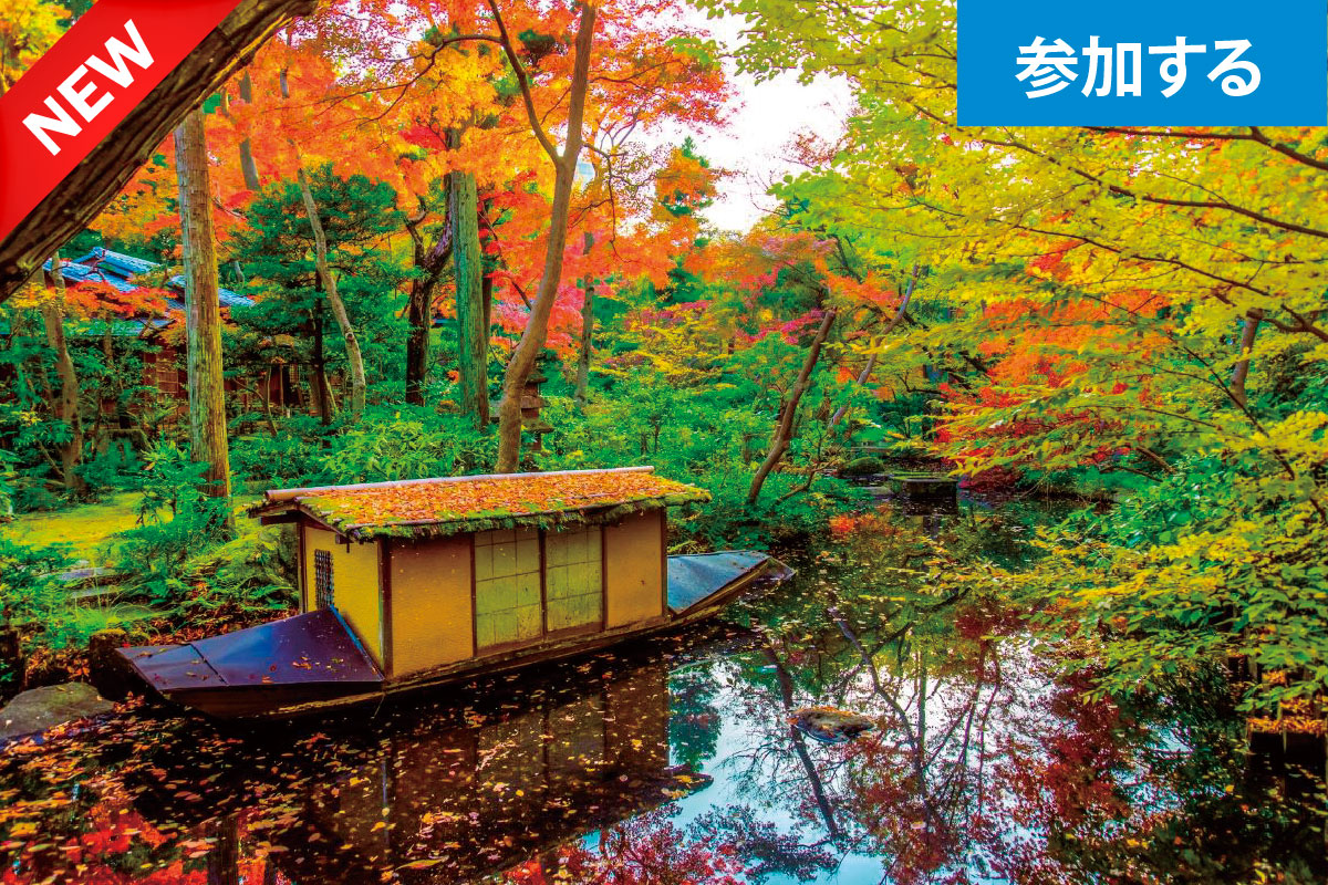 【11月イベント】Tokyo☆秋の美術館めぐり（青山・表参道）― 都心で秋の美術館見学を楽しもう！―