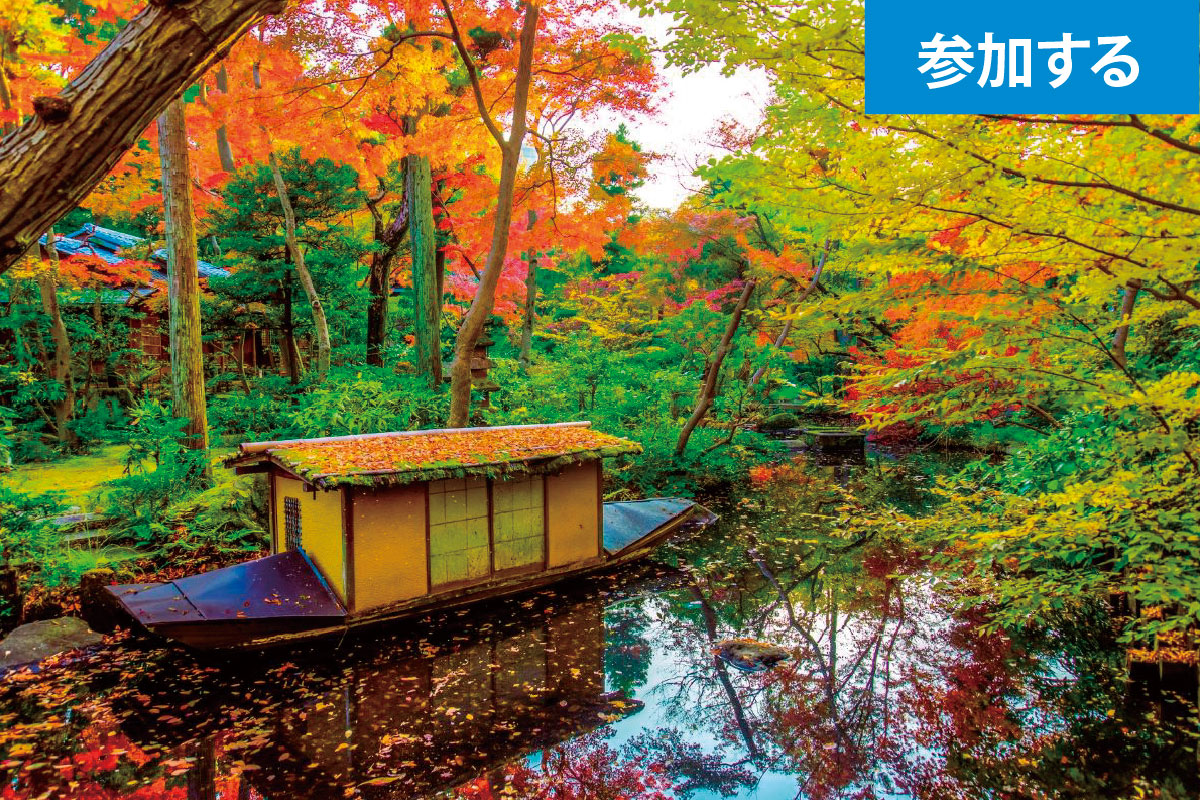 【11月イベント】Tokyo☆秋の美術館めぐり（青山・表参道）― 都心で秋の美術館見学を楽しもう！―