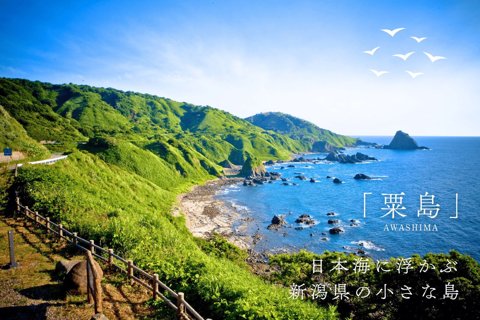 《移住婚》新潟県粟島浦村・受け入れ開始のお知らせ ― “日本海に浮かぶ小さな島” 令和7年7月より ―