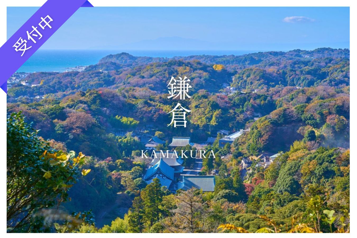 【11月イベント情報】鎌倉をめぐる秋のさんぽ旅（神奈川・鎌倉） ― ミドルエイジ対象！自然と歴史にふれるひととき ―