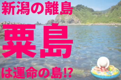 【移住婚】地域情報サイト「Jタウンネット」に新潟県粟島浦村の紹介記事が掲載されました