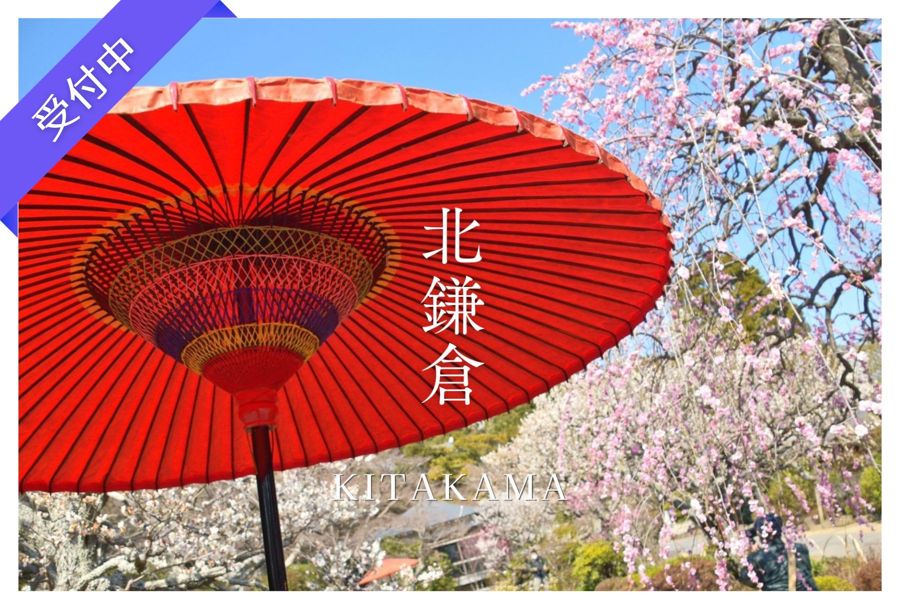 【4月イベント情報】春の古都・鎌倉を楽しむ散策交流会（北鎌倉）