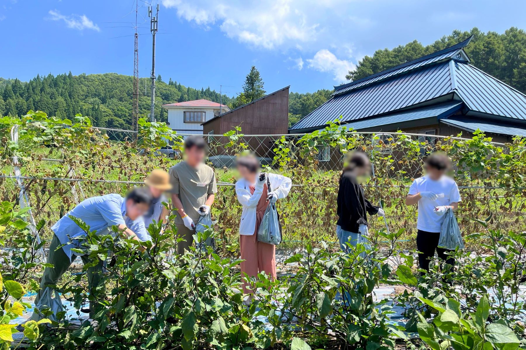 【メディア掲載情報】「移住婚」が共同通信の取材により全国各地の新聞・メディアで紹介されました
